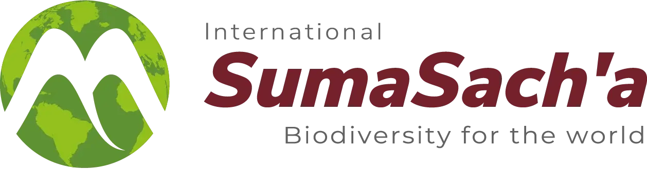 Sumasacha