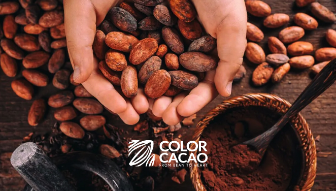 Proyecto: Color Cacao